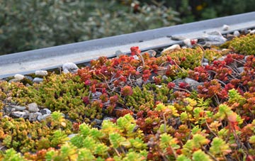 the cost of Bollihope green roof installation