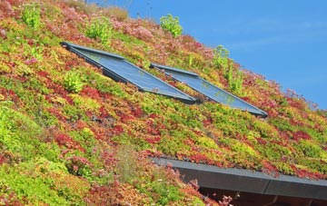 Bollihope living roof systems