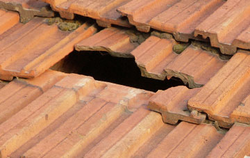 roof repair Bollihope, County Durham
