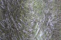 Bollihope fibreglass roof work